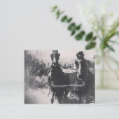 馬チーム#horse #amish ポストカード (スタンド正面)