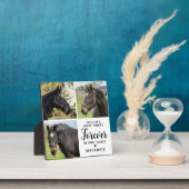 馬パーソナライズされた記念三ペットコラージュ フォトプラーク (インサイチュ)