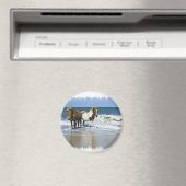 馬ビーチ磁石 マグネット (インサイチュ (食洗機))