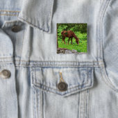 馬ボタン 缶バッジ (インサイチュ)