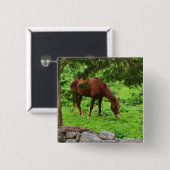 馬ボタン 缶バッジ (正面&裏面)