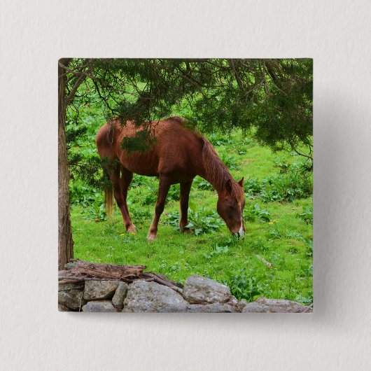 馬ボタン 缶バッジ (正面)