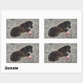 馬ポニーシェティ動物ミニホース 長方形シール (シート)