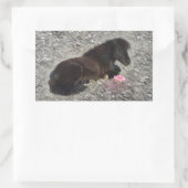 馬ポニーシェティ動物ミニホース 長方形シール (バッグ)