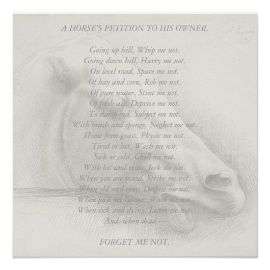 馬ポートレートのヴィンテージに対する請願 ポスター (正面)