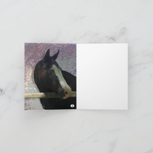 馬ポートレート写真動物ノートカード ノートカード (内部)