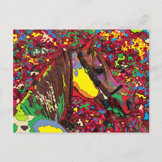 馬ポートレート7 ポストカード (正面)
