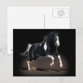 馬ポートレートVIII ポストカード (正面/裏面)