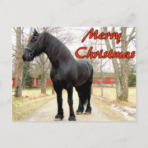 馬メリーなChristmas.jpg シーズンポストカード