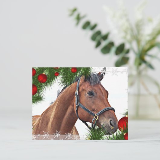 馬メリークリスマスキュートウマ科のポニーエクストリアン シーズンポストカード (スタンド正面)