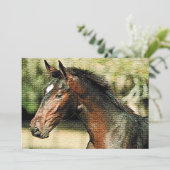 馬モザイクタイル招待状 招待状 (スタンド正面)