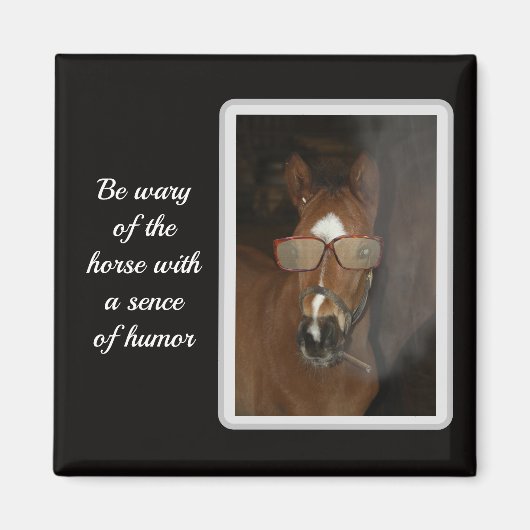 馬ユーモアのある馬喫煙葉巻マグネット マグネット (正面)