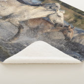 馬ランニング毛布 シェルパブランケット (3/4)