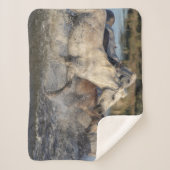 馬ランニング毛布 シェルパブランケット (正面)