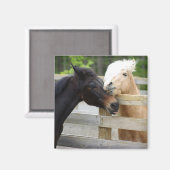 馬ロビン マグネット (正面/裏面)