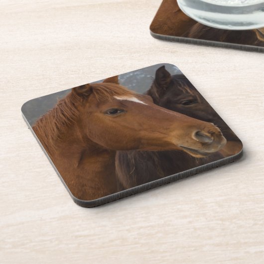 馬三つ子 コースター (左側)