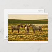 馬会議 ポストカード (正面/裏面)