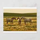 馬会議 ポストカード (正面)