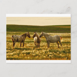 馬会議 ポストカード