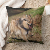 馬具とのポメラニア犬のランニング クッション (ブランケット)