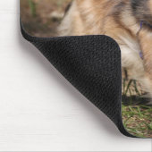 馬具とのポメラニア犬のランニング マウスパッド (コーナー)