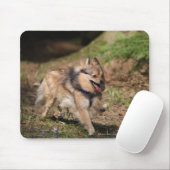 馬具とのポメラニア犬のランニング マウスパッド (マウス)