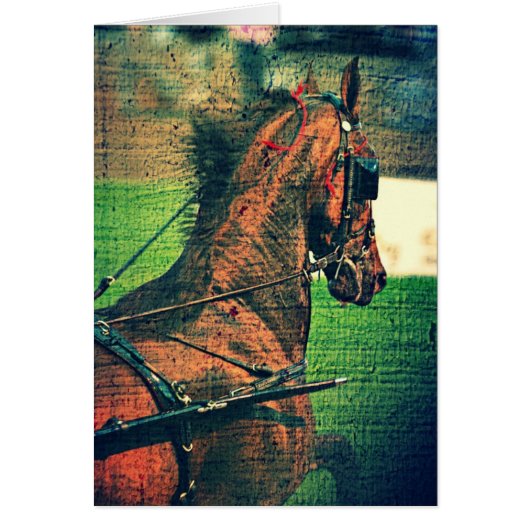 馬具に付いている (正面)