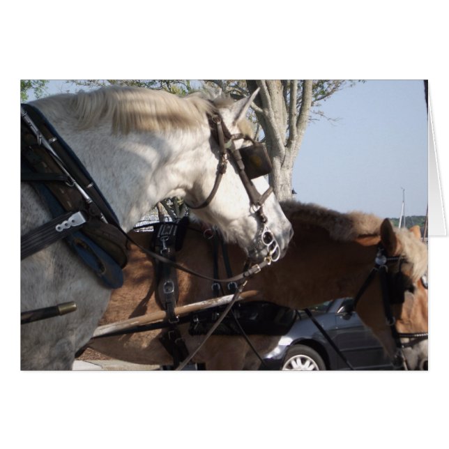 馬具の馬 (正面横)