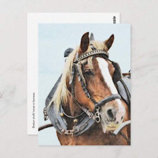 馬具荷車を引く付きの馬 ポストカード (正面/裏面)