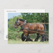 馬具荷車を引く付きの馬 ポストカード (正面/裏面)