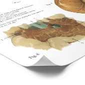 馬内臓解剖学脳胃図 ポスター (角)