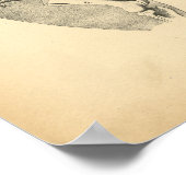 馬内部解剖学1908ヴィンテージプリント ポスター (角)