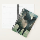 馬写真ウマ科のマーレフォール プランナー手帳 (ディスプレー)