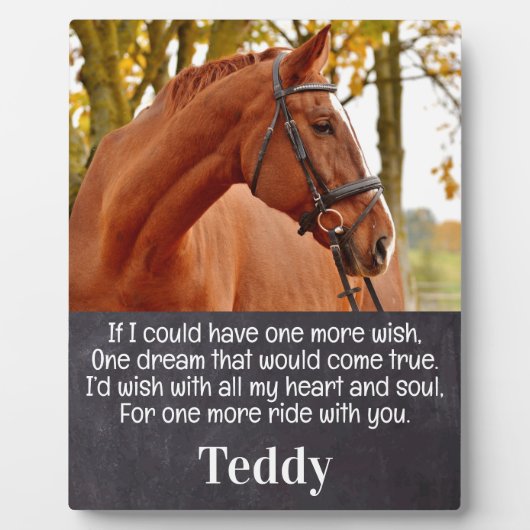 馬写真悔やみや弔慰記念馬碑 フォトプラーク (正面)