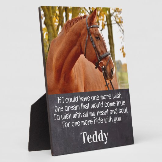 馬写真悔やみや弔慰記念馬碑 フォトプラーク (側面)