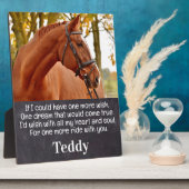 馬写真悔やみや弔慰記念馬碑 フォトプラーク (側面)