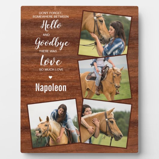 馬写真記念素朴記念・記念碑 フォトプラーク (正面)