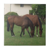 馬写真 タイル (正面)