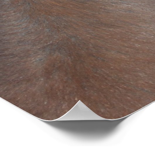 馬写真 ポスター (角)