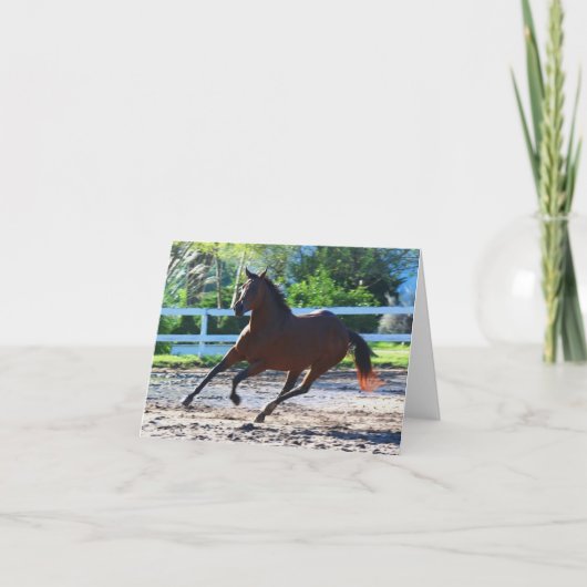 馬券/グリーティングカード5 カード (正面)