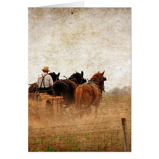 馬力のあるフィールドワーク (正面)