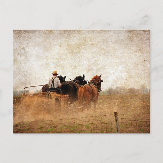 馬力のあるフィールドワーク ポストカード (正面)