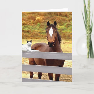 "馬及び彼女の猫"の挨拶状 カード
