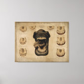 馬口の歯の年齢エッチング水色 キャンバスプリント (正面)