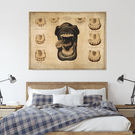 馬口の歯の年齢エッチング水色 キャンバスプリント (インサイチュ (寝室))