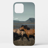 馬同士 Case-Mate iPhoneケース (裏面)