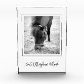 馬名EQUESTRIAN PHOTO Timeless Keepsake フォトブロック (正面)