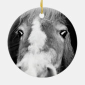 馬名PHOTO馬蹄形記念ペット セラミックオーナメント (裏面)