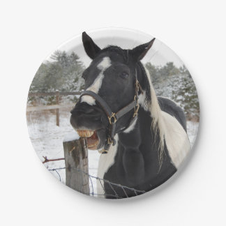 馬噛みフェンス柱 ペーパープレート