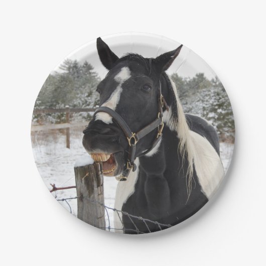 馬噛みフェンス柱 ペーパープレート (正面)